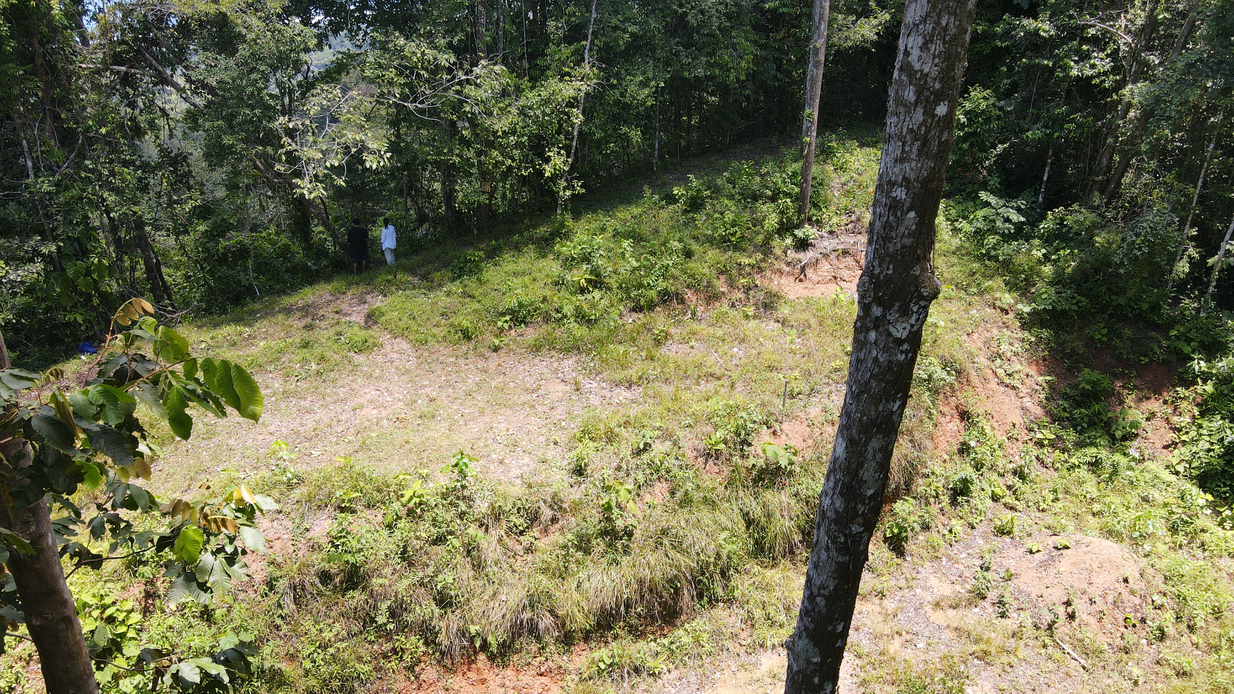 LOT WITH STUNNING OCEAN AND MOUNTAIN VIEWS NEAR DOMINICAL WITH LEGAL WATER – 1.3 ACRES