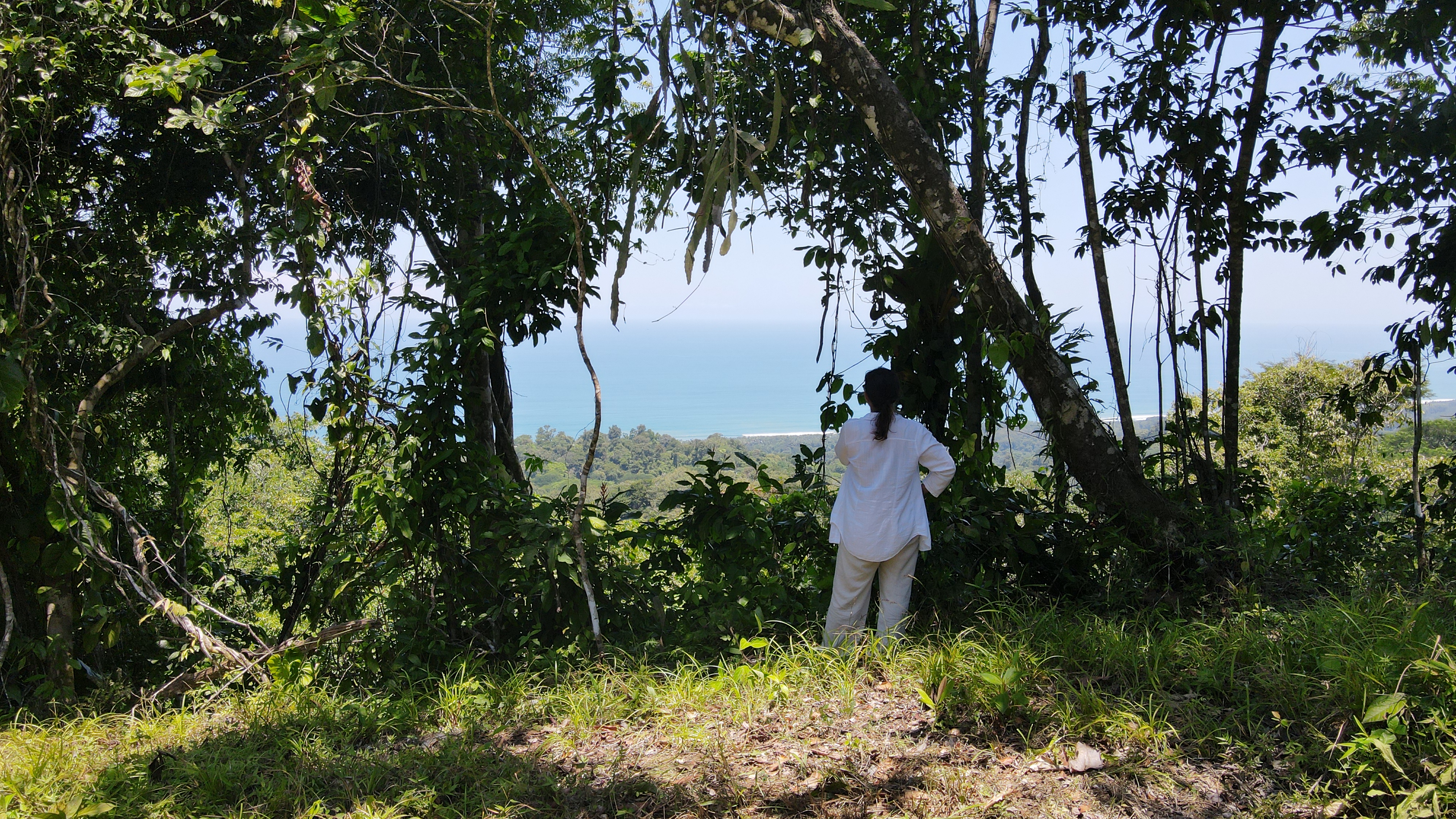 LOT WITH STUNNING OCEAN AND MOUNTAIN VIEWS NEAR DOMINICAL WITH LEGAL WATER – 1.3 ACRES