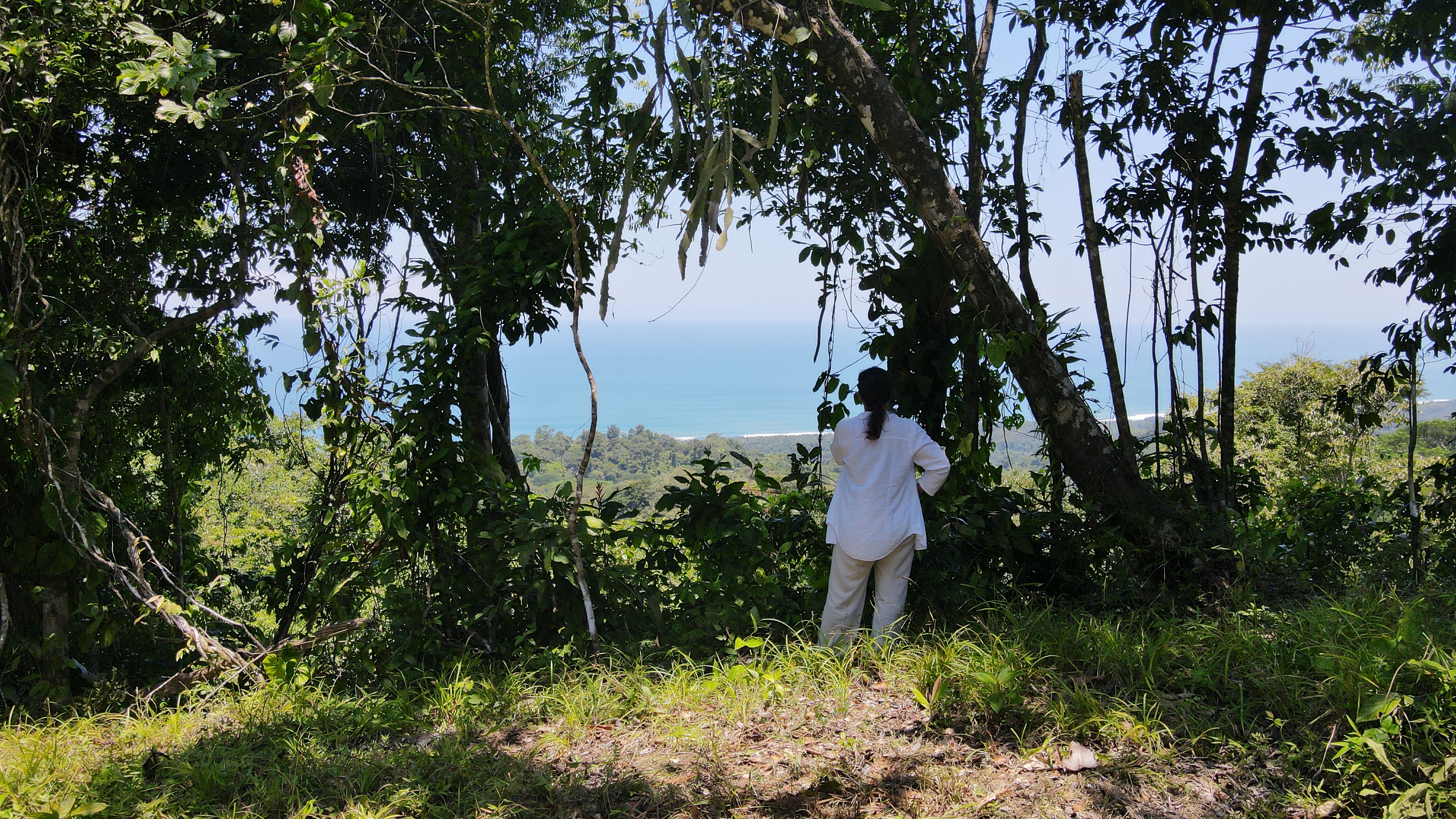 LOT WITH STUNNING OCEAN AND MOUNTAIN VIEWS NEAR DOMINICAL WITH LEGAL WATER – 1.3 ACRES