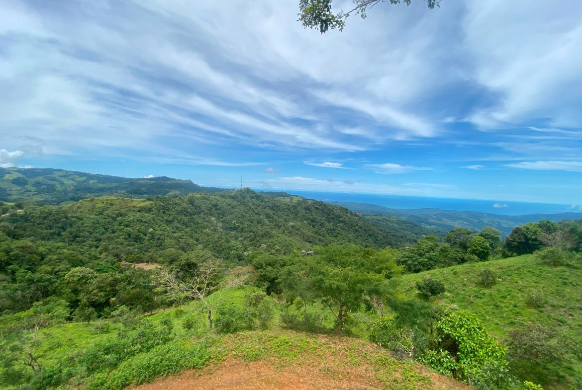 VILLA FONSECA – MOUNTAIN RETREAT WITH STUNNING VIEWS, RUSTIC CABINS & FRUIT ORCHARD – 7.85 ACRES