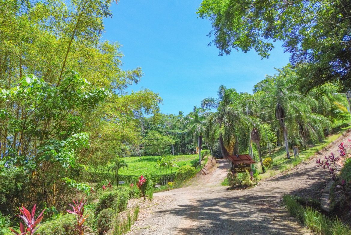 OCEAN VIEW BUILDING SITE NEAR DOMINICAL BEACH – 3.45 ACRES