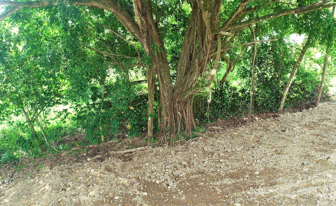 COMMERCIAL AND RESIDENCIAL LOT WALKING DISTANCE TO THE BEACH – 1.23 ACRES