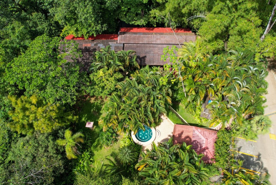 ONE OF A KIND LUXURY BOUTIQUE HOTEL WITH OCEAN AND JUNGLE VIEWS