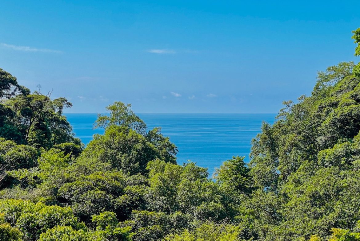 ONE OF A KIND LUXURY BOUTIQUE HOTEL WITH OCEAN AND JUNGLE VIEWS
