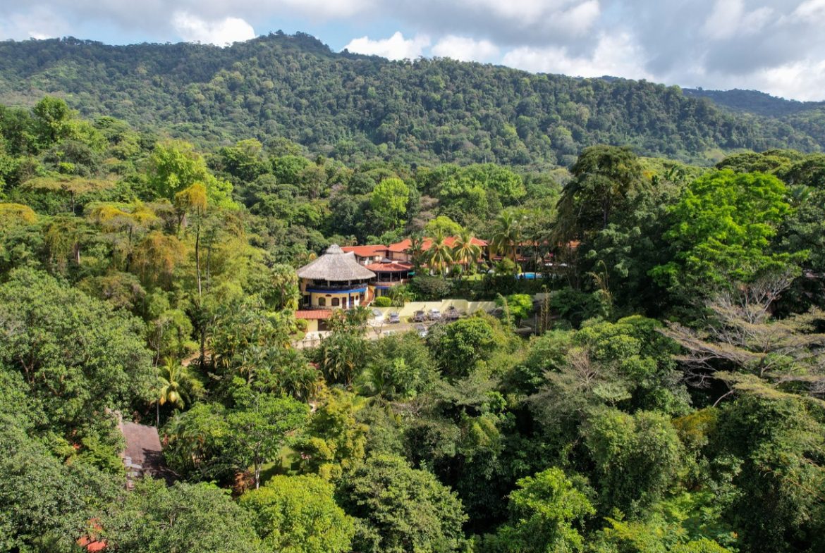 ONE OF A KIND LUXURY BOUTIQUE HOTEL WITH OCEAN AND JUNGLE VIEWS