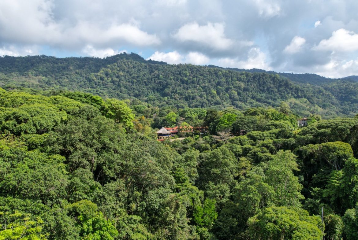 ONE OF A KIND LUXURY BOUTIQUE HOTEL WITH OCEAN AND JUNGLE VIEWS