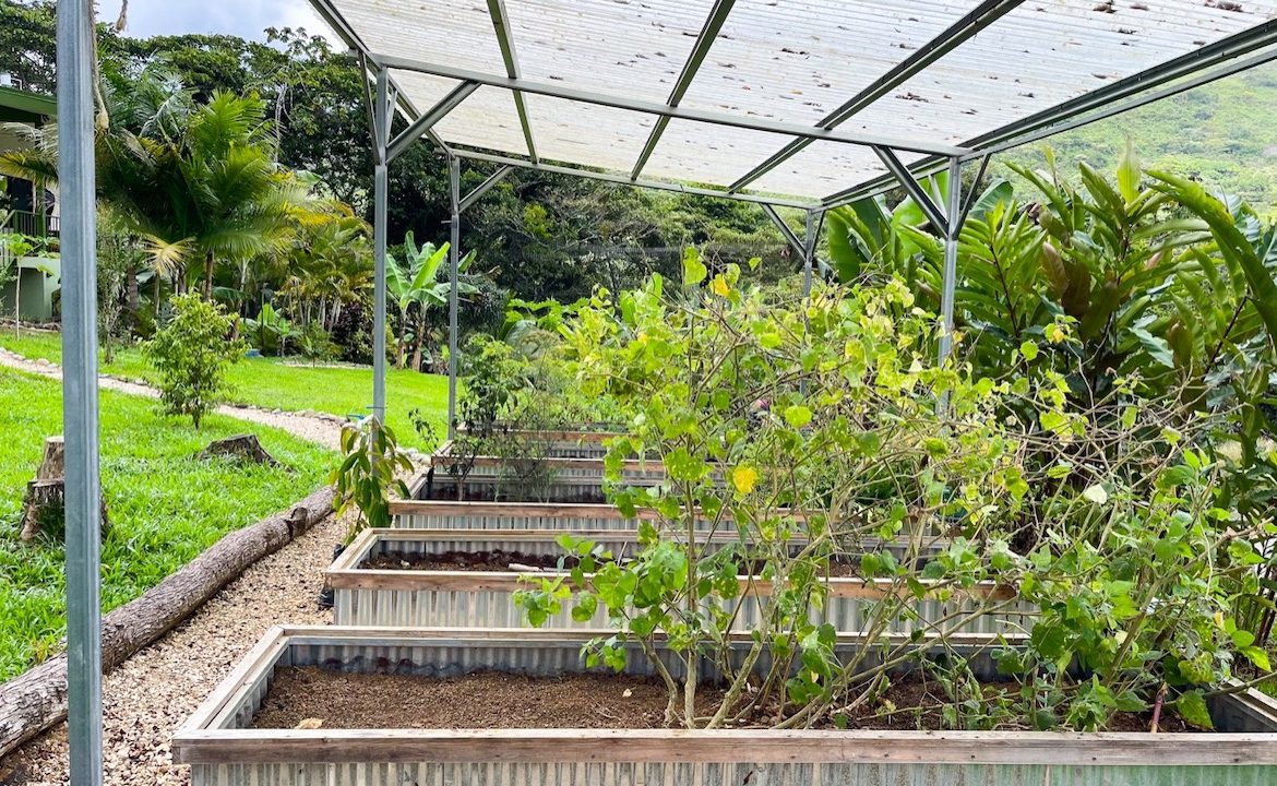 A HOLISTIC SANCTUARY IN SERENITY GARDENS – 1.03 ACRES