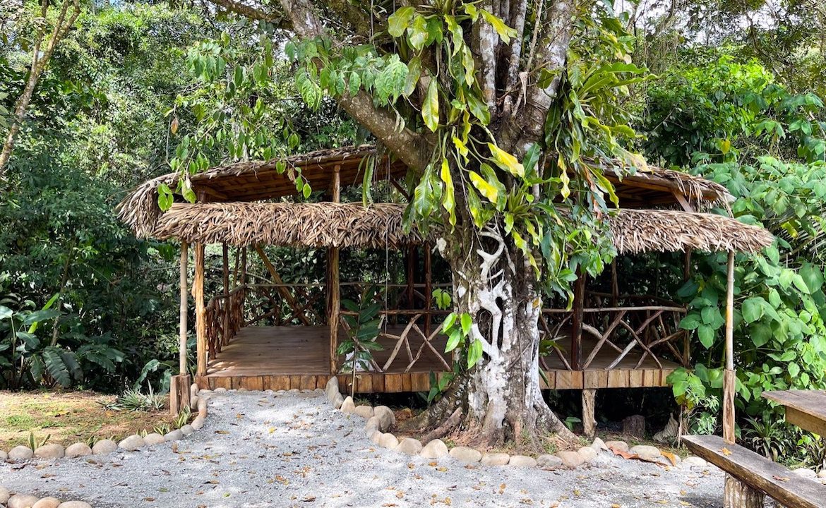 A HOLISTIC SANCTUARY IN SERENITY GARDENS – 1.03 ACRES