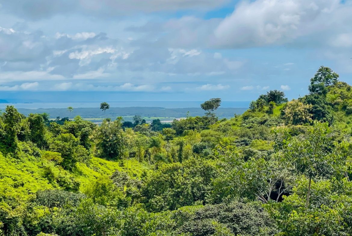 3-BEDROOM OCEAN VIEW HOME IN GATED COMMUNITY – 0.24 ACRES, Uvita, Costa Rica — photo 3