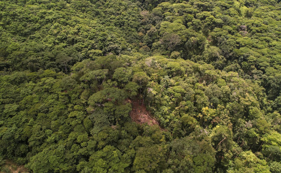DEVELOPMENT POTENCIAL LAND WITH OCEAN VIEWS – 17.59 ACRES