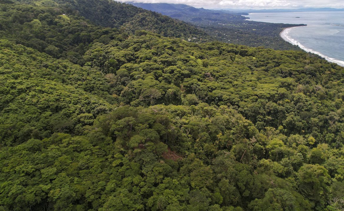 DEVELOPMENT POTENCIAL LAND WITH OCEAN VIEWS – 17.59 ACRES