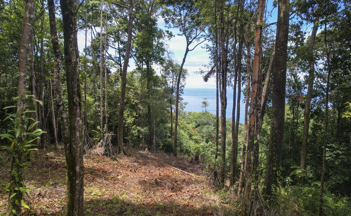 DEVELOPMENT POTENCIAL LAND WITH OCEAN VIEWS – 17.59 ACRES