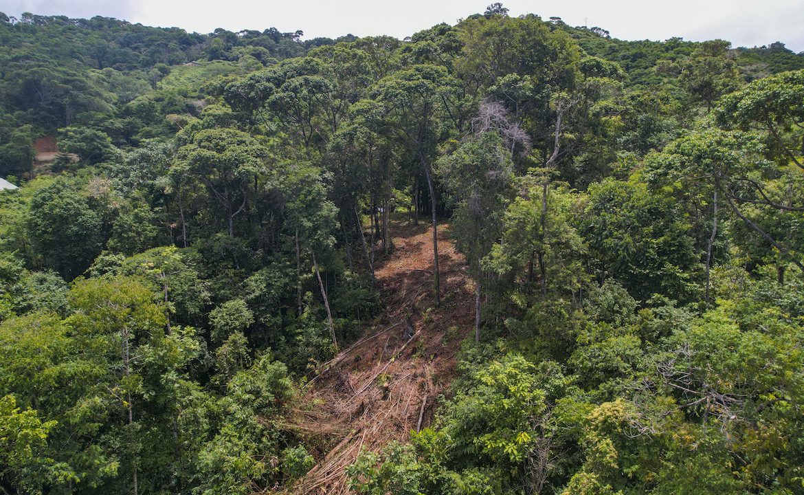 DEVELOPMENT POTENCIAL LAND WITH OCEAN VIEWS – 17.59 ACRES