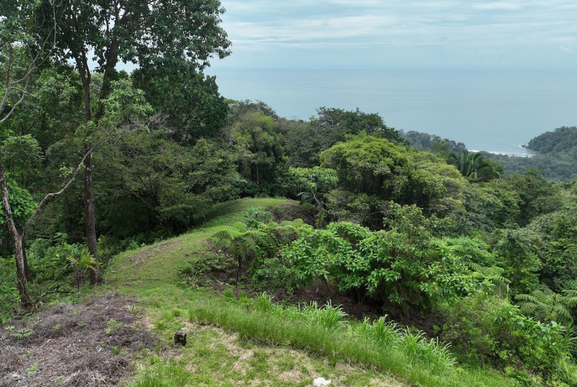 OCEAN VIEW LAND WITH PANORAMIC VIEWS – 3.95 ACRES