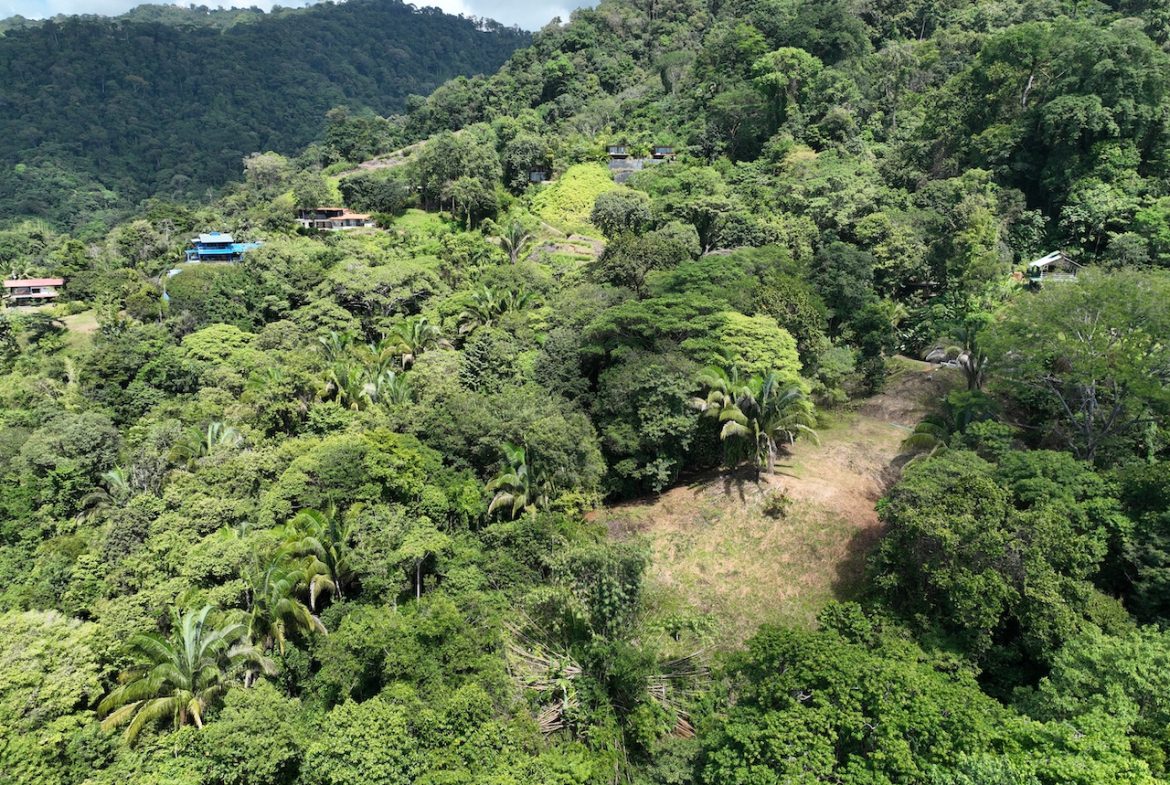 OCEAN VIEW LAND WITH PANORAMIC VIEWS – 3.95 ACRES