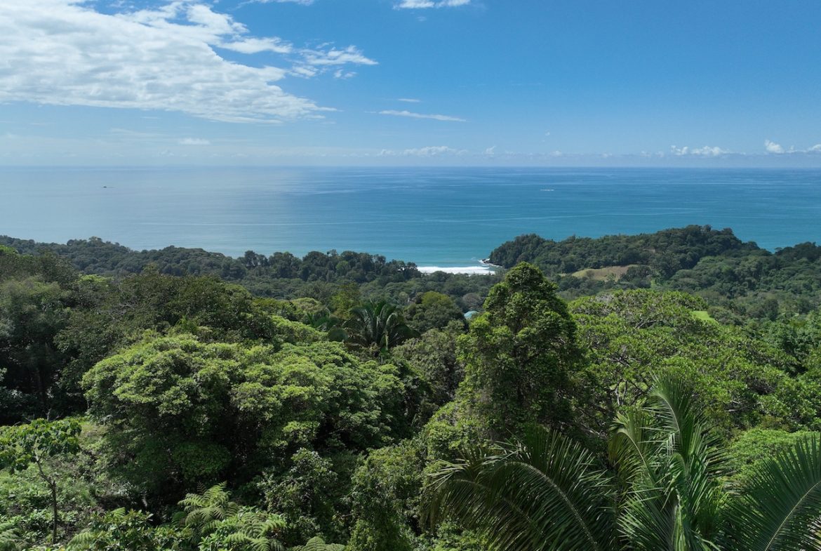 OCEAN VIEW LAND WITH PANORAMIC VIEWS – 3.95 ACRES, Uvita, Costa Rica — photo 4