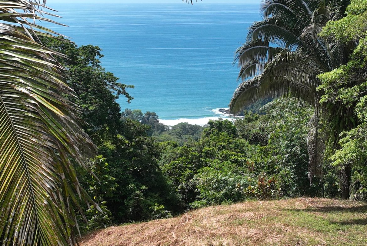 OCEAN VIEW LAND WITH PANORAMIC VIEWS – 3.95 ACRES, Uvita, Costa Rica — photo 6
