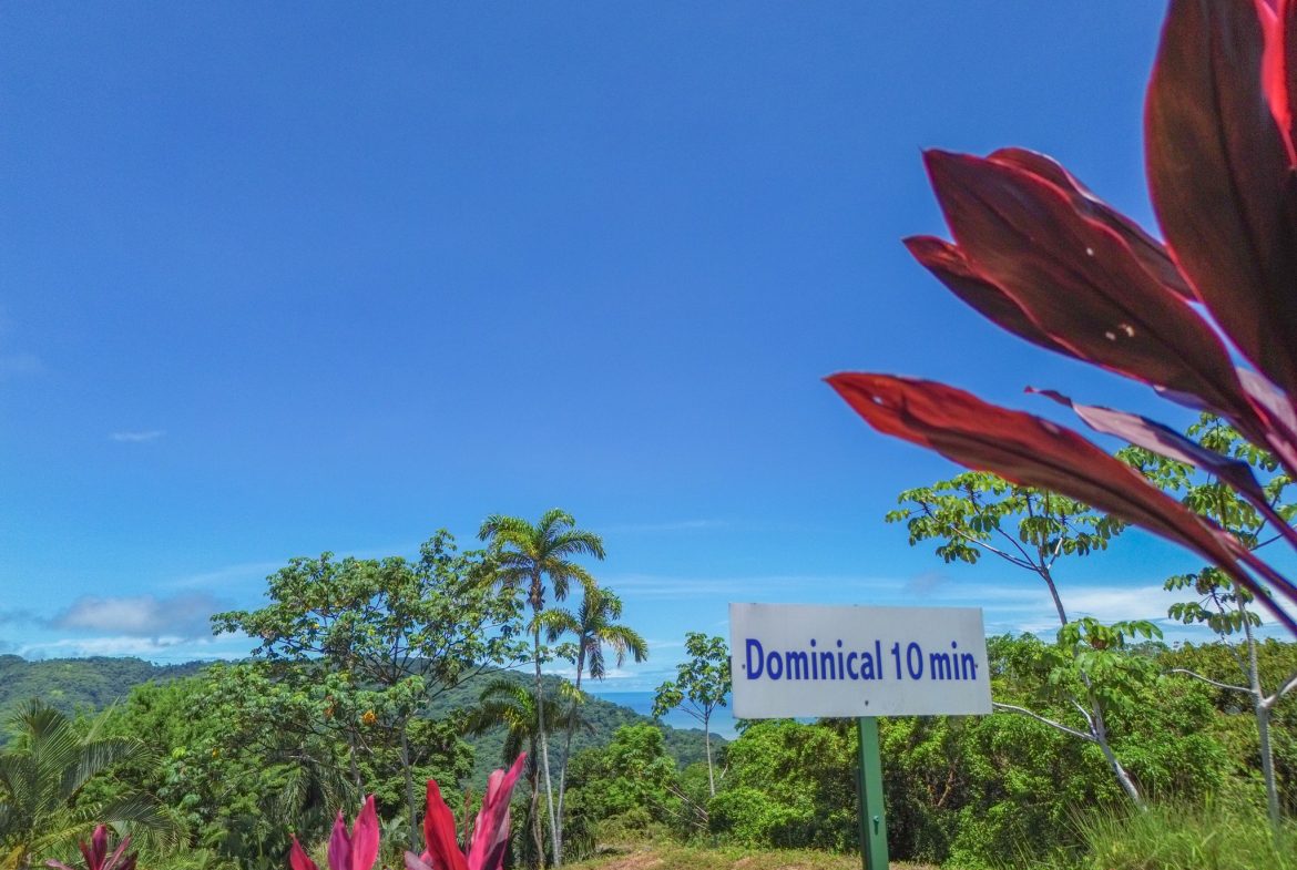 OCEAN VIEW BUILDING SITE NEAR DOMINICAL BEACH – 3.45 ACRES