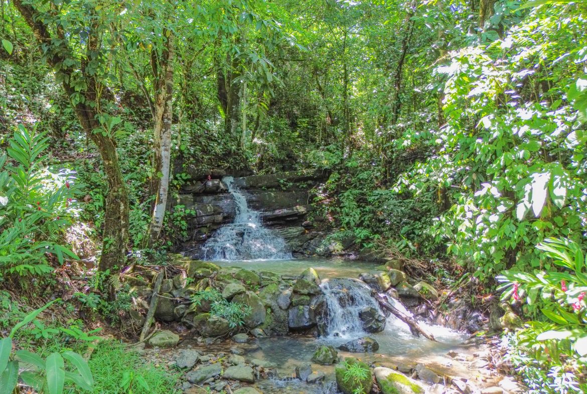OCEAN VIEW BUILDING SITE NEAR DOMINICAL BEACH – 3.45 ACRES