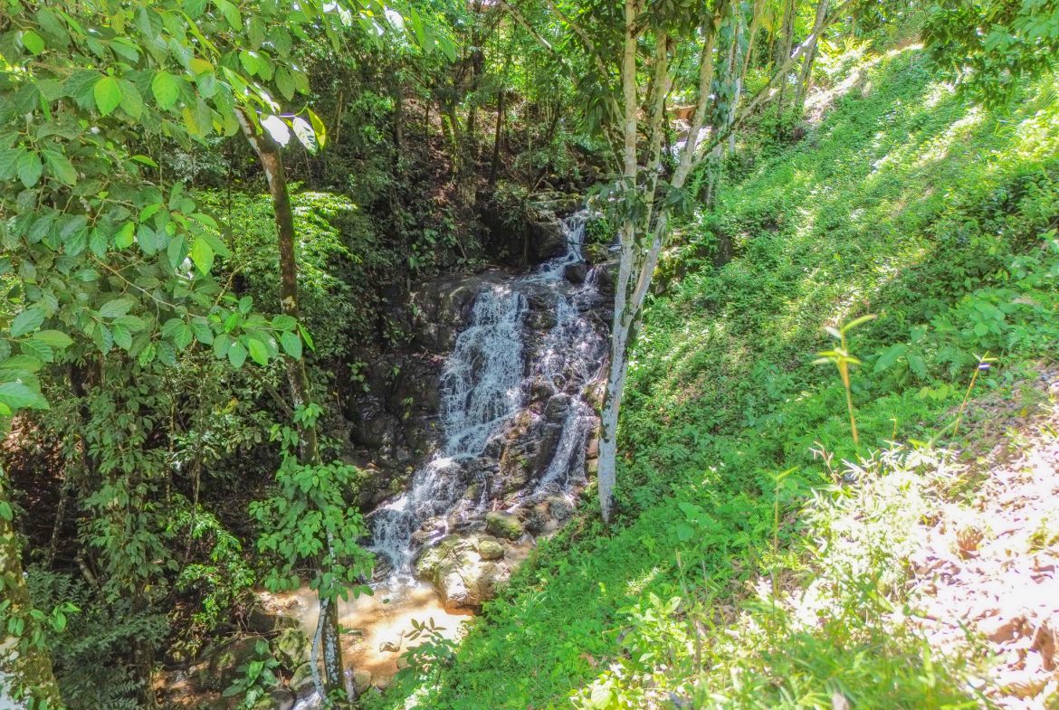 OCEAN VIEW BUILDING SITE NEAR DOMINICAL BEACH – 3.45 ACRES