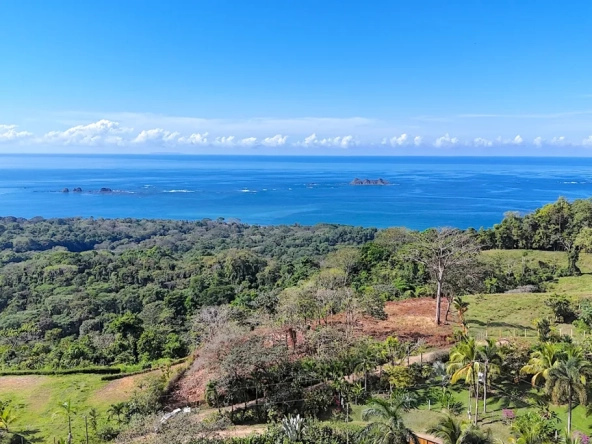 Discover the best ocean view properties: exclusivity and nature in one place