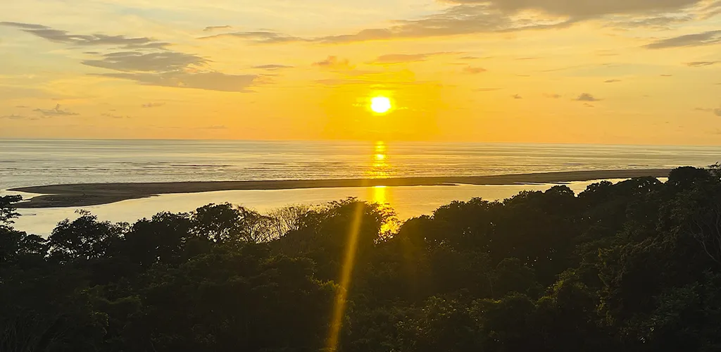 Discover the best ocean view properties: exclusivity and nature in one place