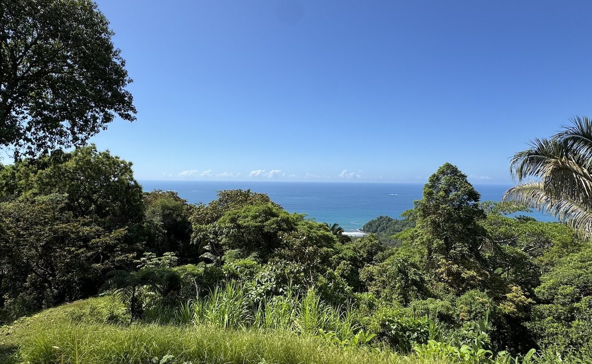 OCEAN VIEW LAND WITH PANORAMIC VIEWS – 3.95 ACRES