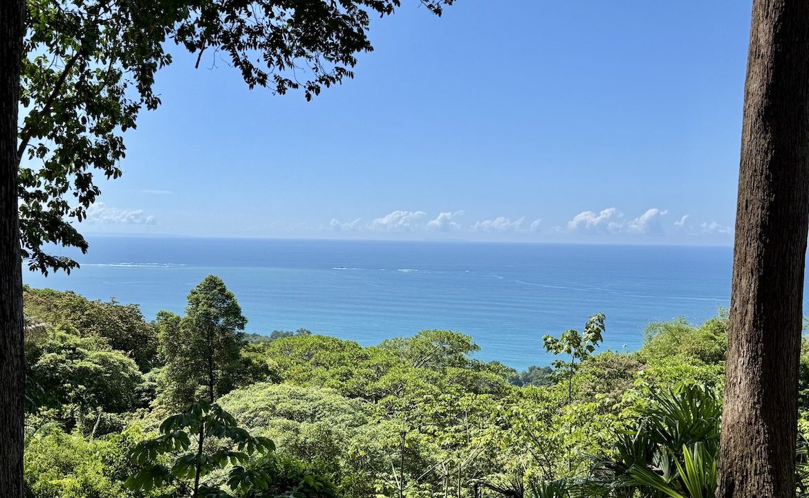 OCEAN VIEW LAND WITH PANORAMIC VIEWS – 3.95 ACRES