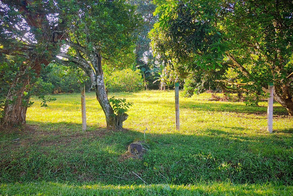 PRIME 1,100 M² LOT IN RESIDENCIAL LOS VIEJOS – FLAT, PRIVATE, AND READY TO BUILD