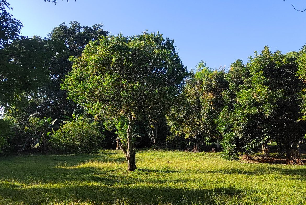 PRIME 1,100 M² LOT IN RESIDENCIAL LOS VIEJOS – FLAT, PRIVATE, AND READY TO BUILD