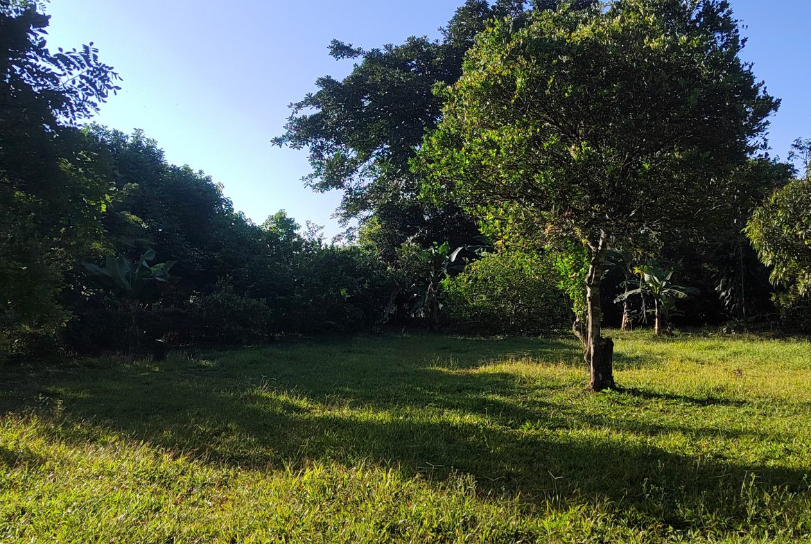 PRIME 1,100 M² LOT IN RESIDENCIAL LOS VIEJOS – FLAT, PRIVATE, AND READY TO BUILD