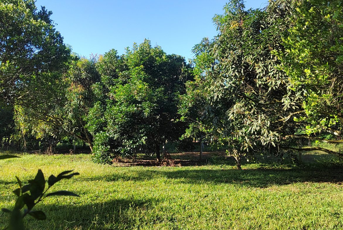 PRIME 1,100 M² LOT IN RESIDENCIAL LOS VIEJOS – FLAT, PRIVATE, AND READY TO BUILD
