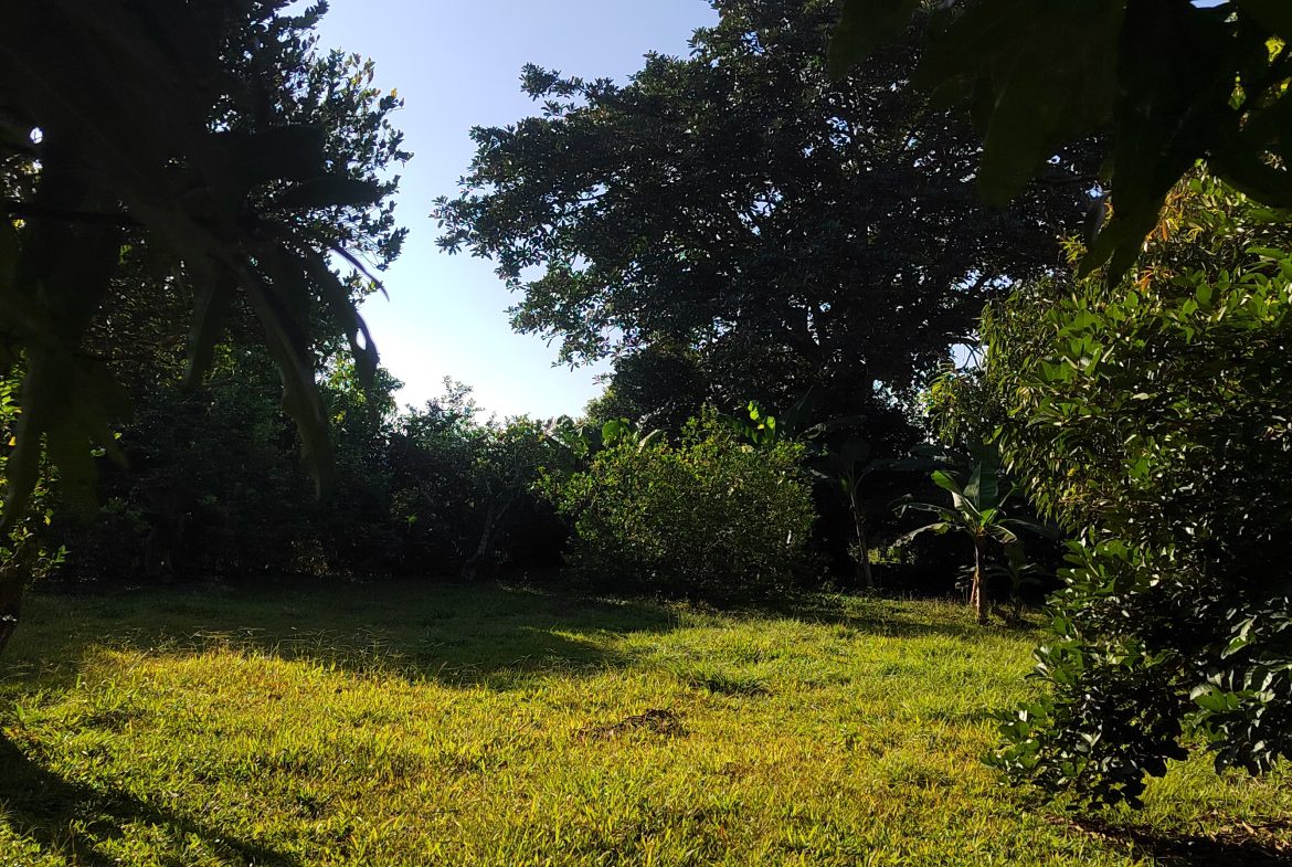 PRIME 1,100 M² LOT IN RESIDENCIAL LOS VIEJOS – FLAT, PRIVATE, AND READY TO BUILD