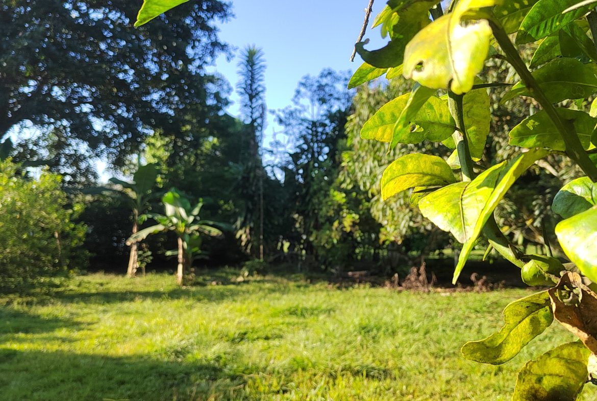 PRIME 1,100 M² LOT IN RESIDENCIAL LOS VIEJOS – FLAT, PRIVATE, AND READY TO BUILD