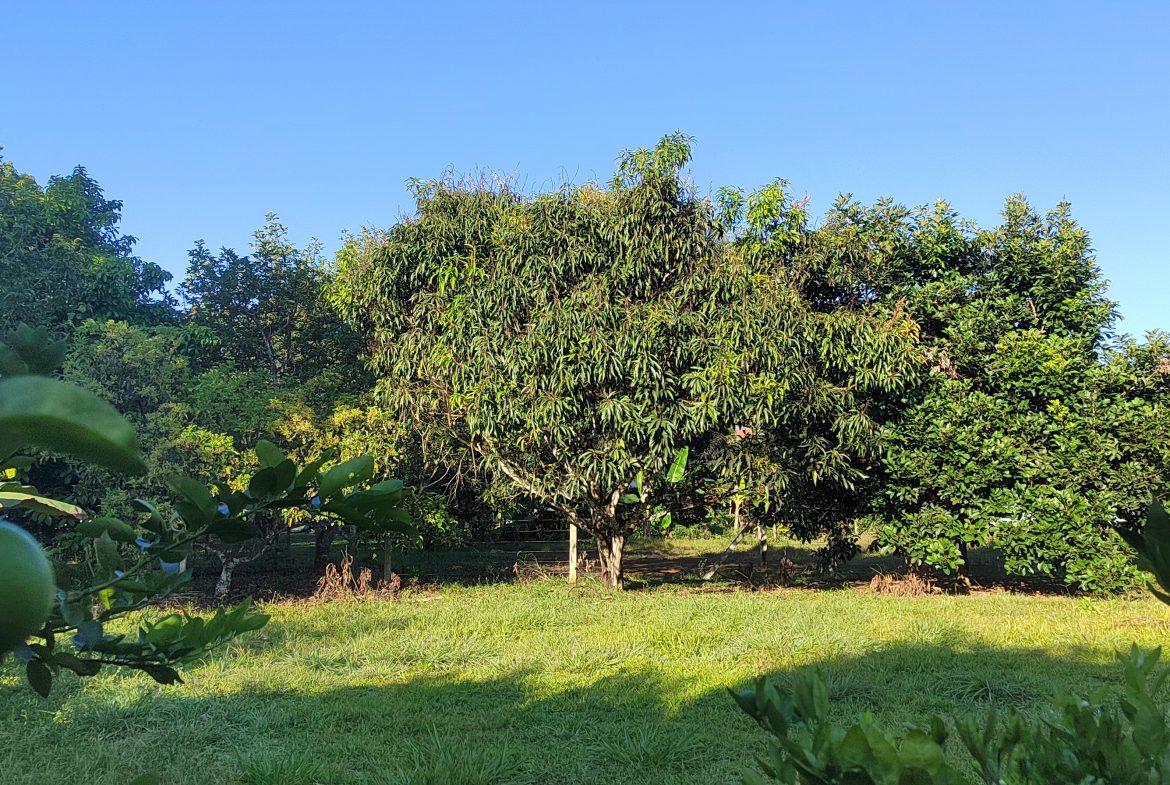 PRIME 1,100 M² LOT IN RESIDENCIAL LOS VIEJOS – FLAT, PRIVATE, AND READY TO BUILD