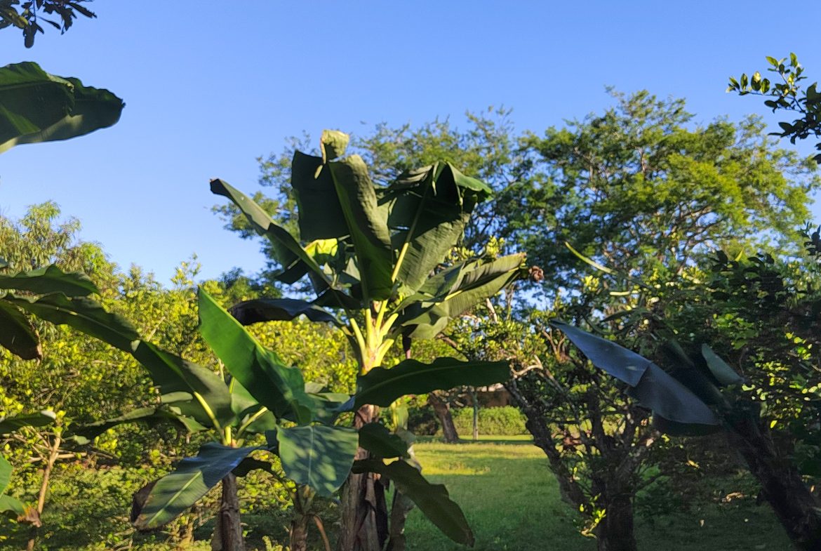 PRIME 1,100 M² LOT IN RESIDENCIAL LOS VIEJOS – FLAT, PRIVATE, AND READY TO BUILD