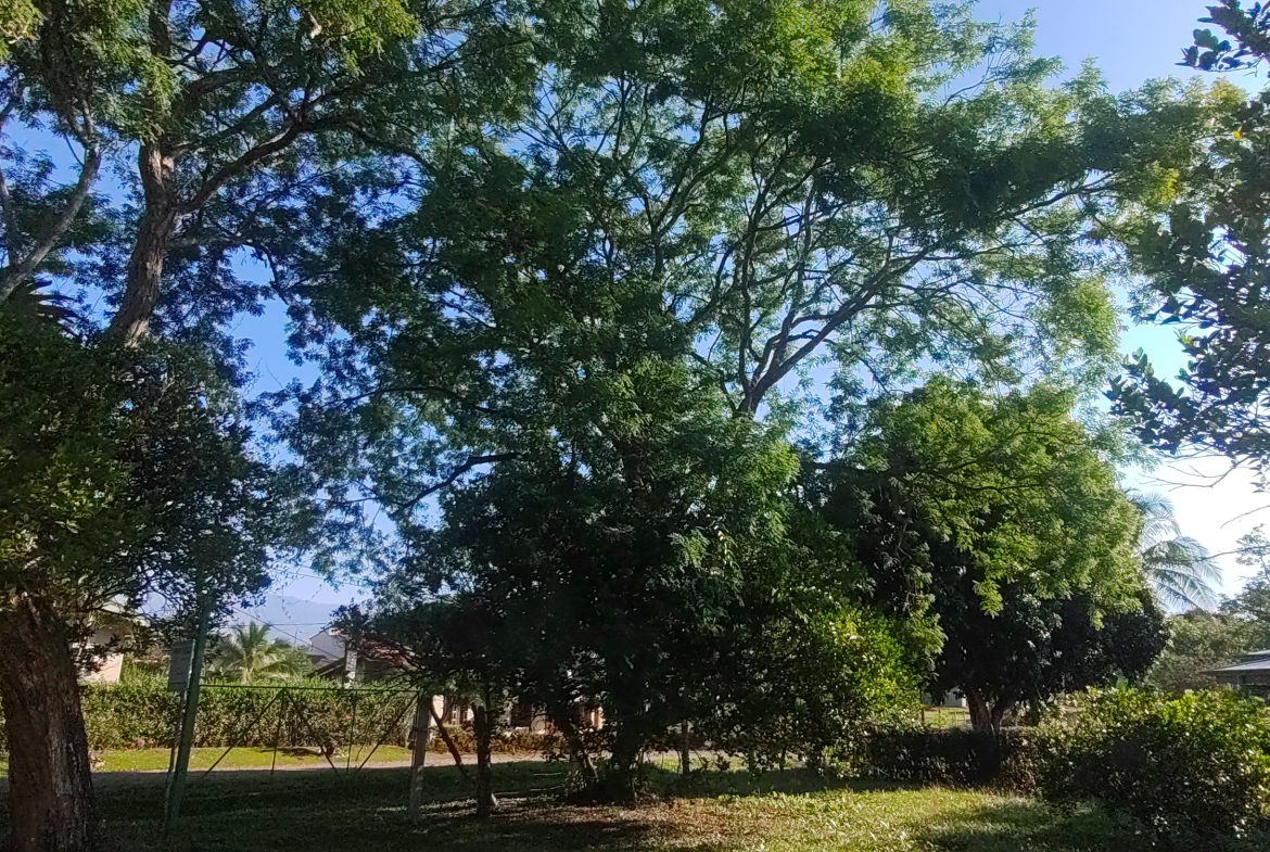 PRIME 1,100 M² LOT IN RESIDENCIAL LOS VIEJOS – FLAT, PRIVATE, AND READY TO BUILD