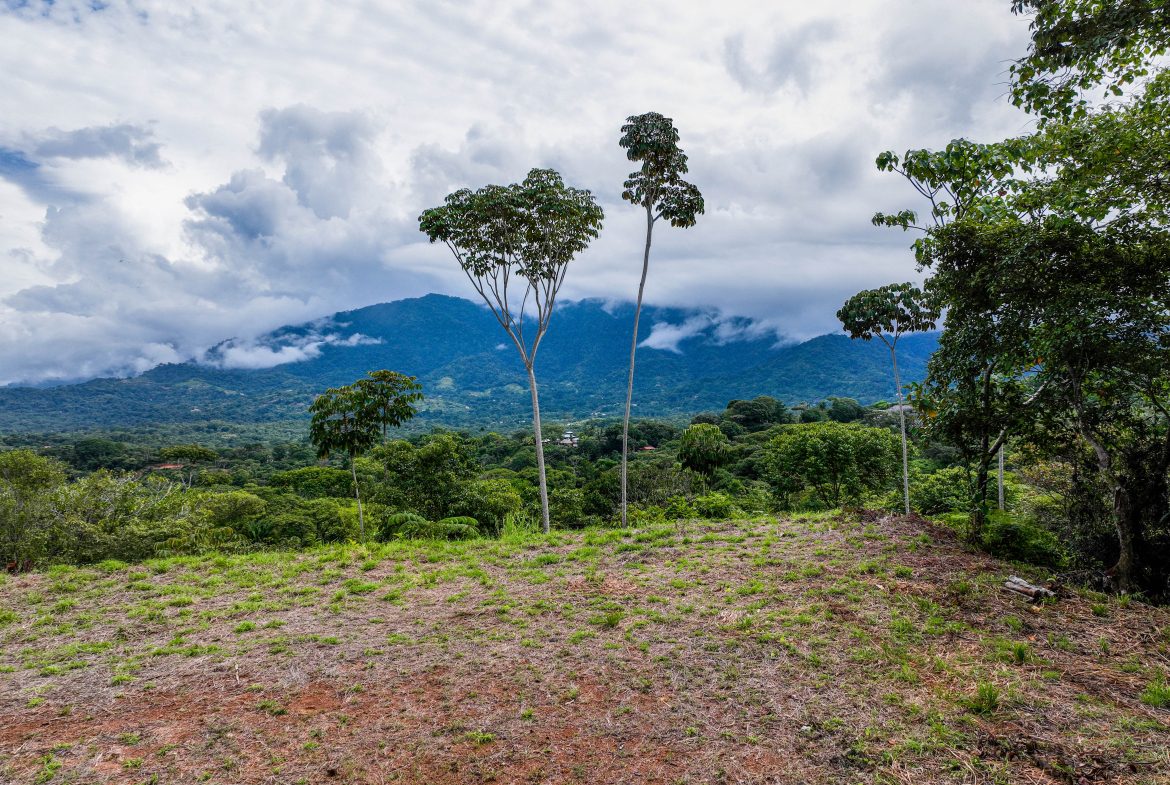 OCEAN & MOUNTAIN VIEW LOT IN OJOCHAL – 0.8 ACRES