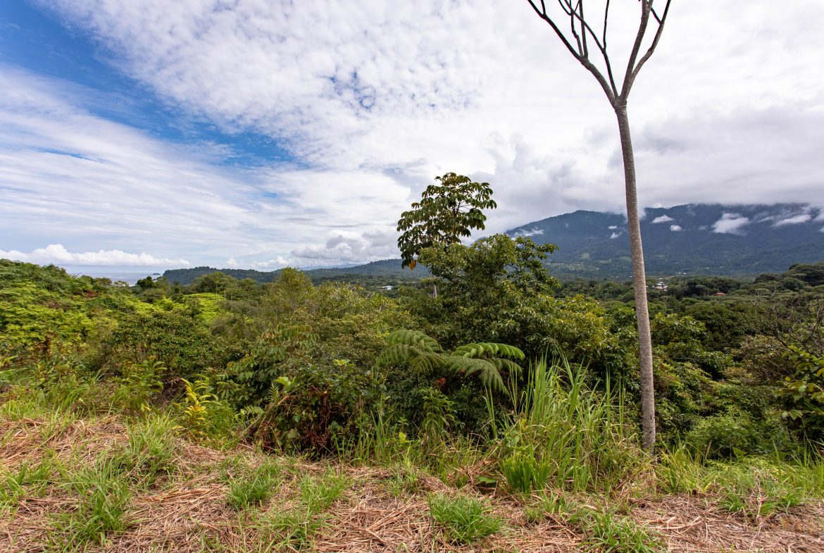 OCEAN & MOUNTAIN VIEW LOT IN OJOCHAL – 0.8 ACRES