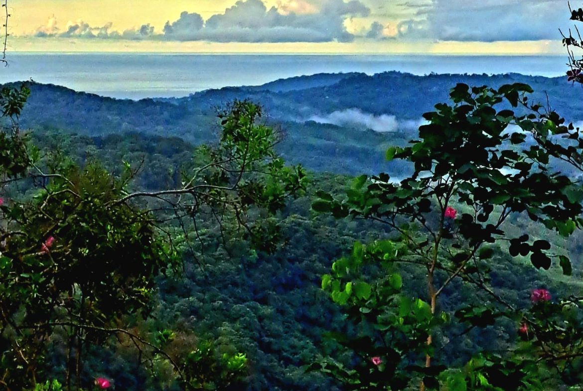 LUXURIOUS RETREAT WITH LARGE WATERFALL ON THE PROPERTY AND EXPANSIVE OCEAN VIEW – 12 ACRES, Uvita, Costa Rica — photo 3