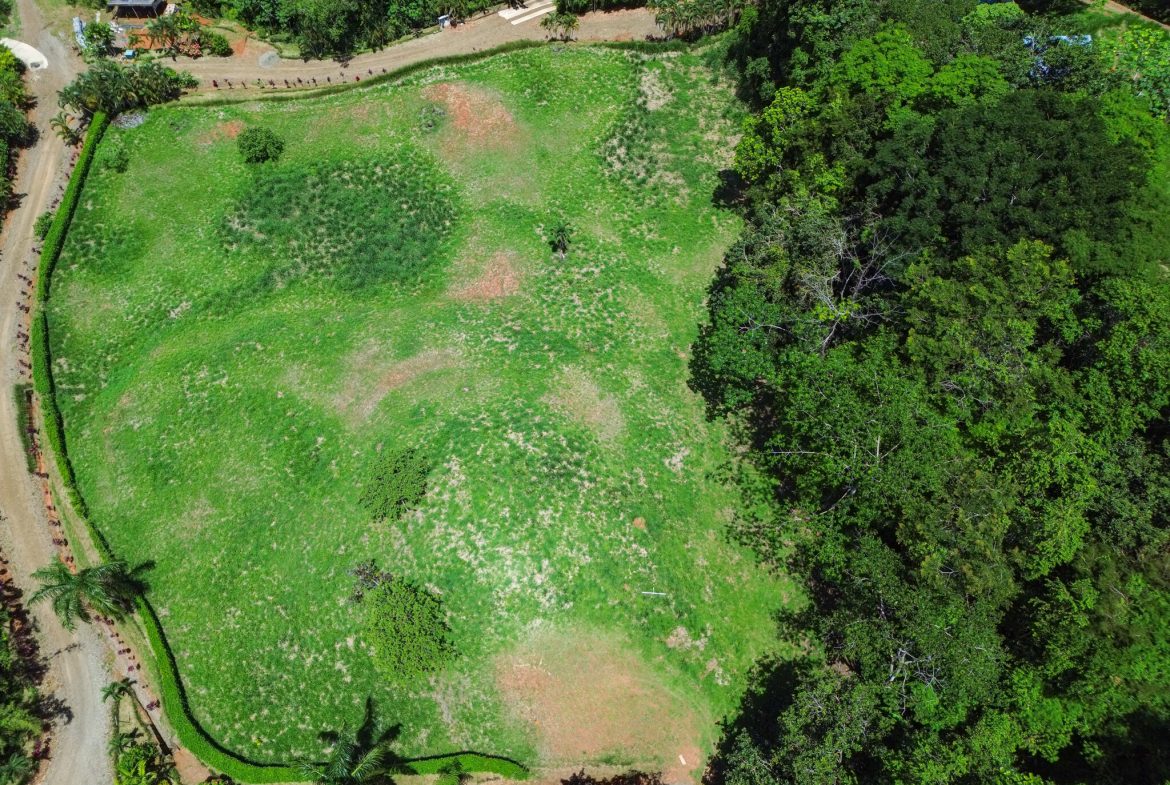 OCEAN VIEW BUILDING SITE NEAR DOMINICAL BEACH – 3.45 ACRES