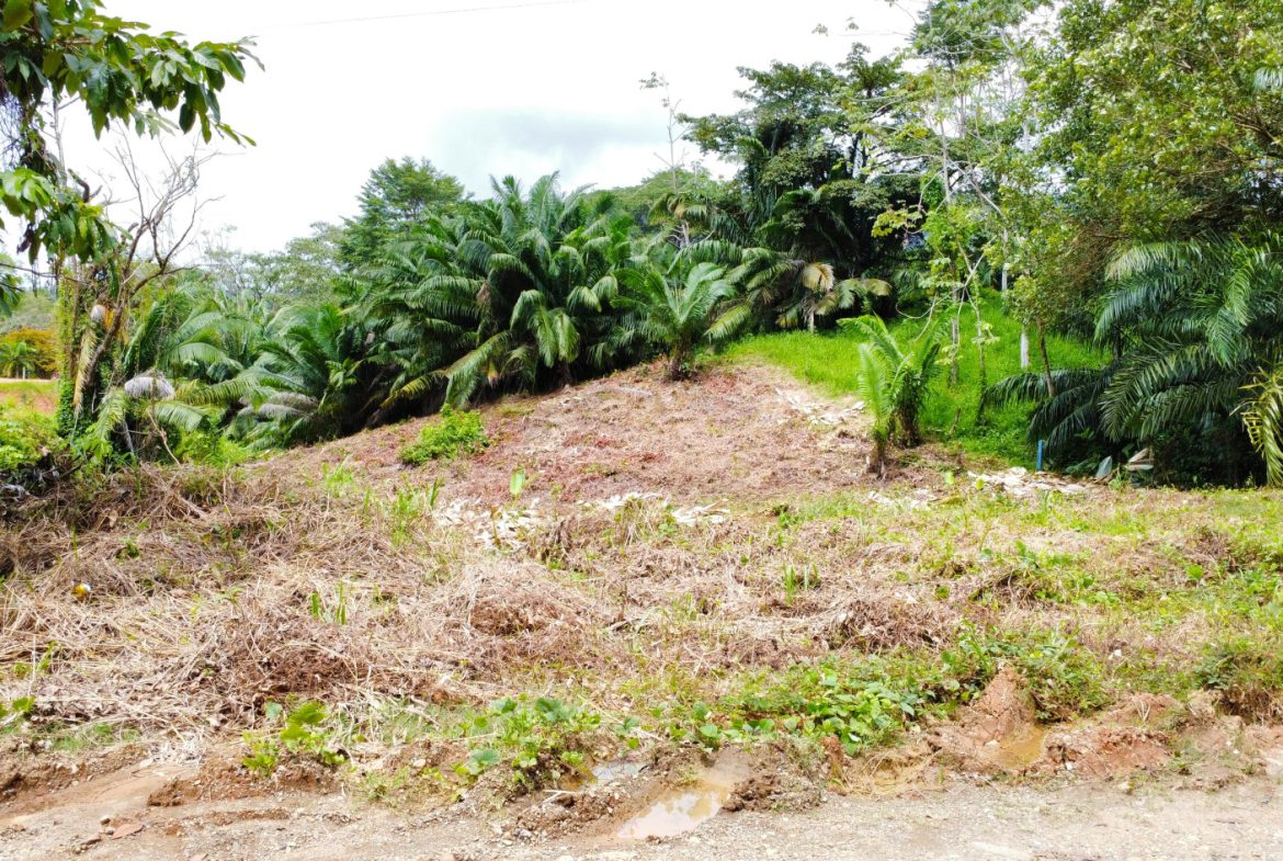 INVESTMENT OPPORTUNITY: LOT FOR SALE IN JARDINES DE MORETE, UVITA – 0.5 ACRES