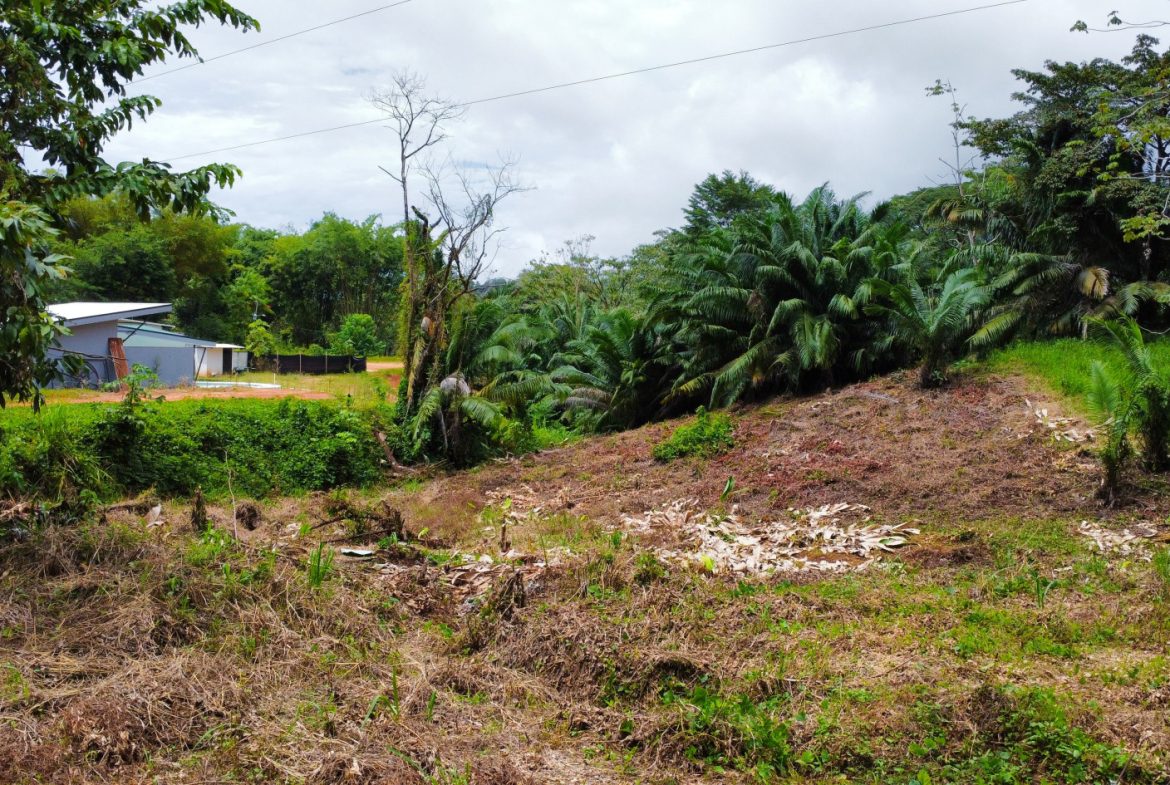 INVESTMENT OPPORTUNITY: LOT FOR SALE IN JARDINES DE MORETE, UVITA – 0.5 ACRES
