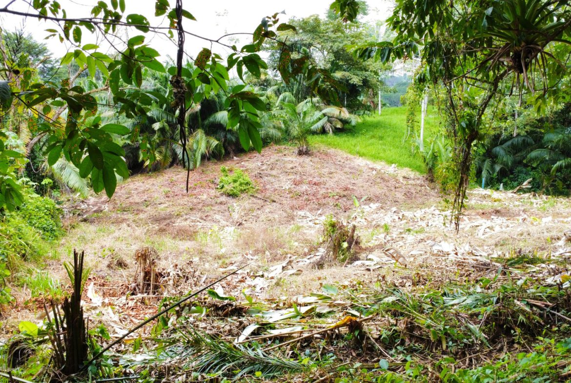INVESTMENT OPPORTUNITY: LOT FOR SALE IN JARDINES DE MORETE, UVITA – 0.5 ACRES