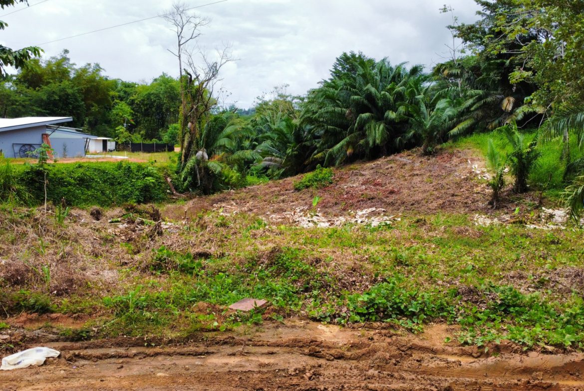 INVESTMENT OPPORTUNITY: LOT FOR SALE IN JARDINES DE MORETE, UVITA – 0.5 ACRES