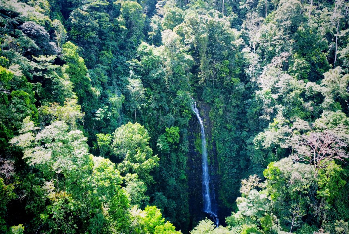 LUXURIOUS RETREAT WITH LARGE WATERFALL ON THE PROPERTY AND EXPANSIVE OCEAN VIEW – 12 ACRES, Uvita, Costa Rica — photo 5
