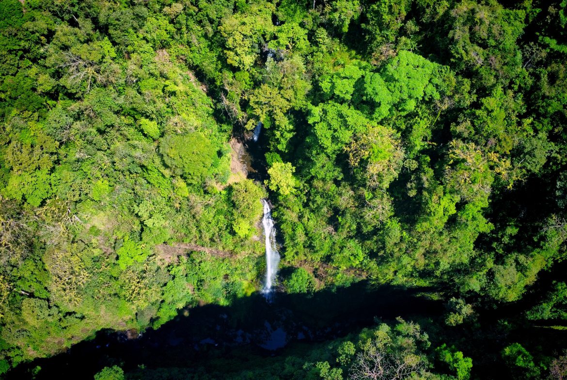 LUXURIOUS RETREAT WITH LARGE WATERFALL ON THE PROPERTY AND EXPANSIVE OCEAN VIEW – 12 ACRES, Uvita, Costa Rica — photo 4