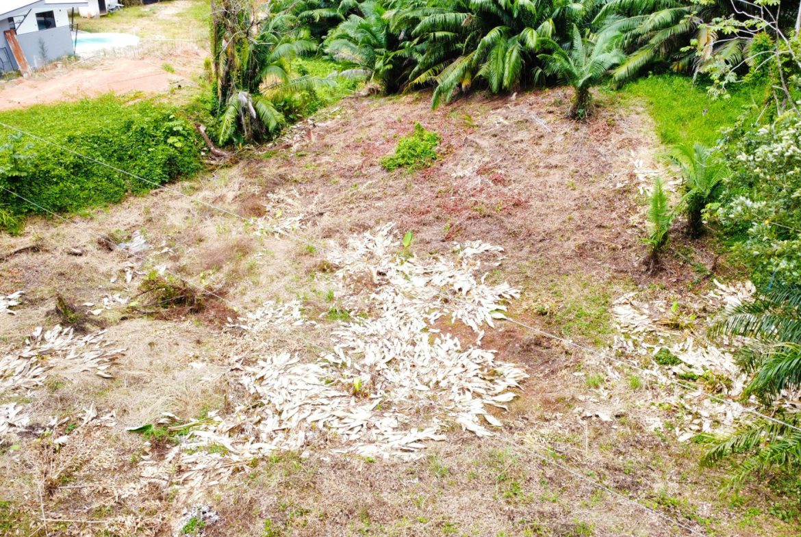 INVESTMENT OPPORTUNITY: LOT FOR SALE IN JARDINES DE MORETE, UVITA – 0.5 ACRES