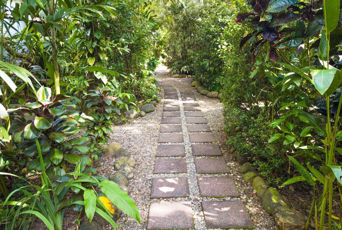 14 ROOM HOTEL WALKING DISTANCE TO THE BEACH IN DOMINICAL