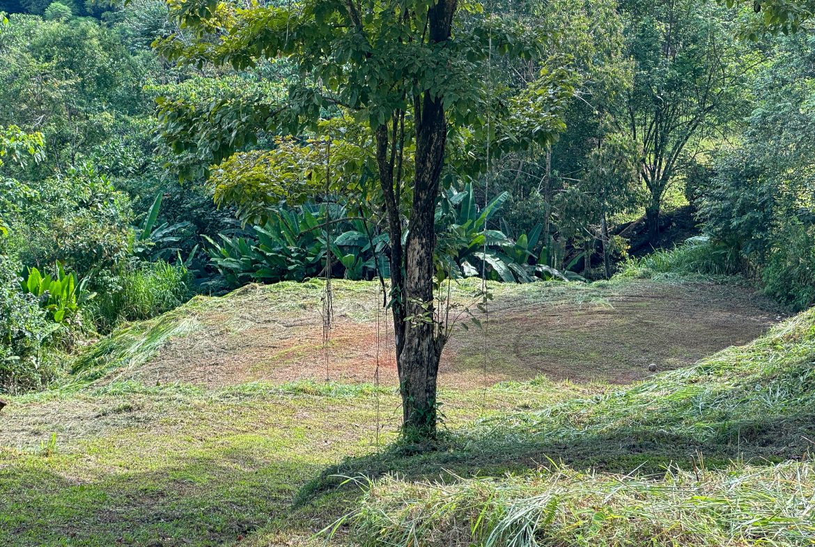 A RARE MOUNTAIN RETREAT WITH BUILDING SITES  , NICE VIEWS AND RIVER – 4.3 ACRES